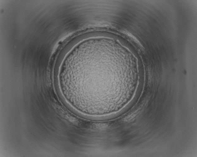 X0000073700878200608171110