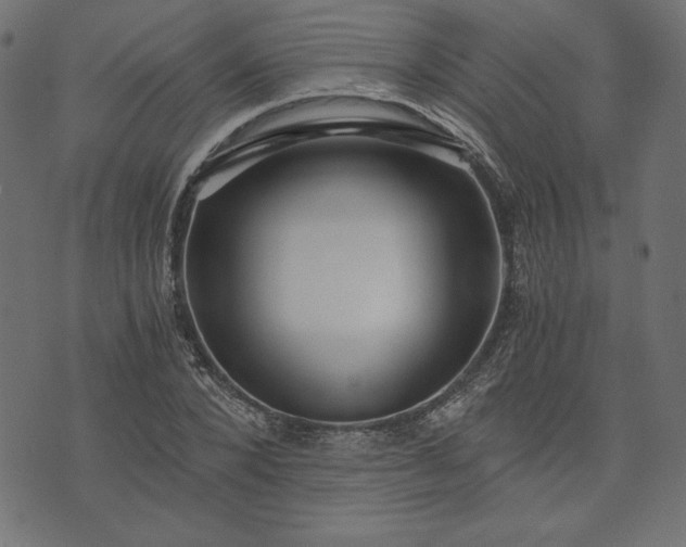 X0000073700880200608171110