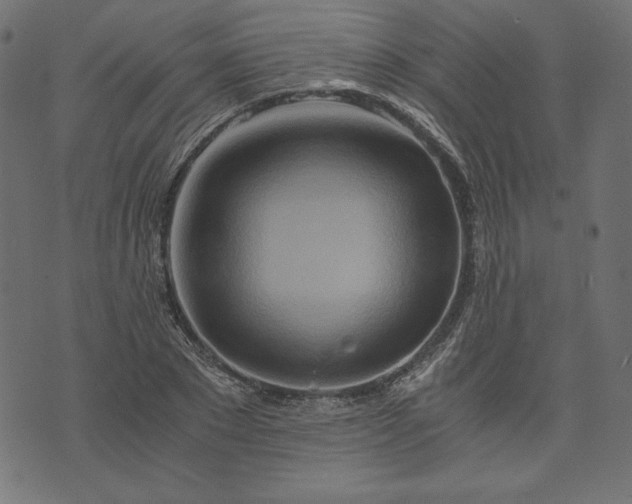 X0000073700881200608171110