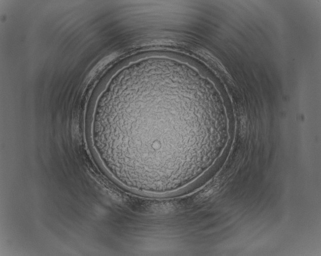 X0000073700882200608171110