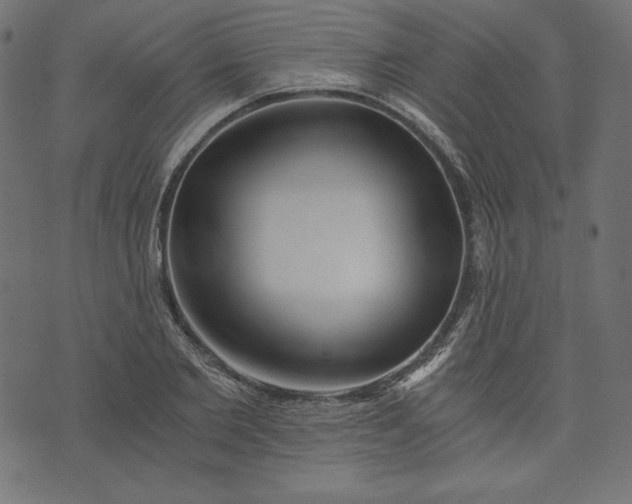 X0000073700885200608171110