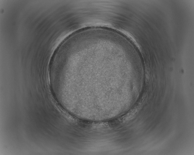 X0000073700887200608171110