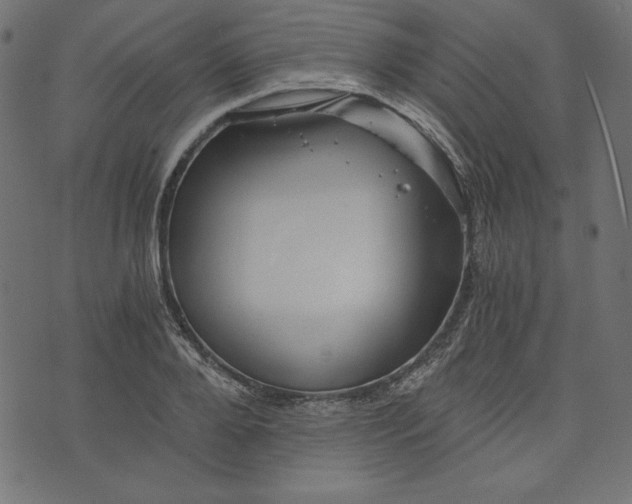 X0000073700888200608171110