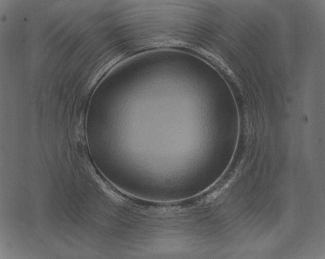 X0000073700889200608171110