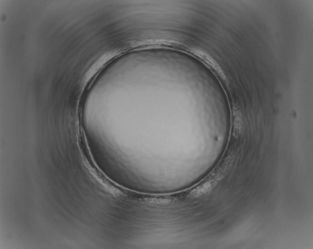 X0000073700890200608171110