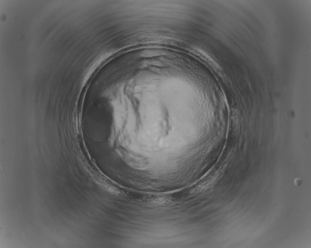 X0000073700891200608171110