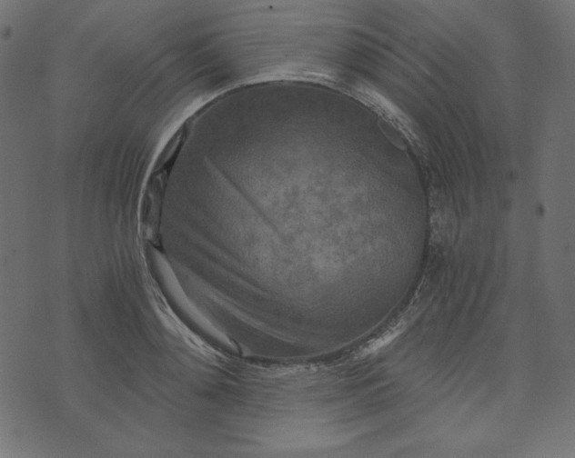 X0000073700892200608171110