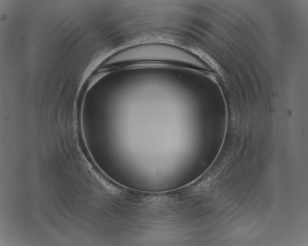 X0000073700894200608171110