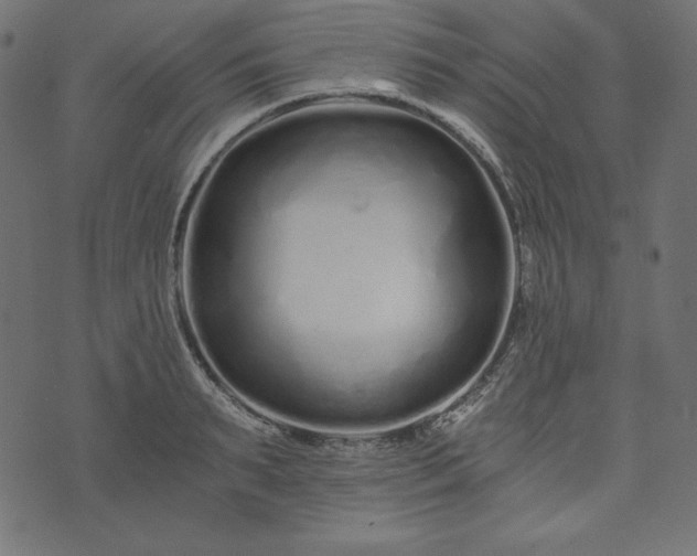 X0000073700895200608171110