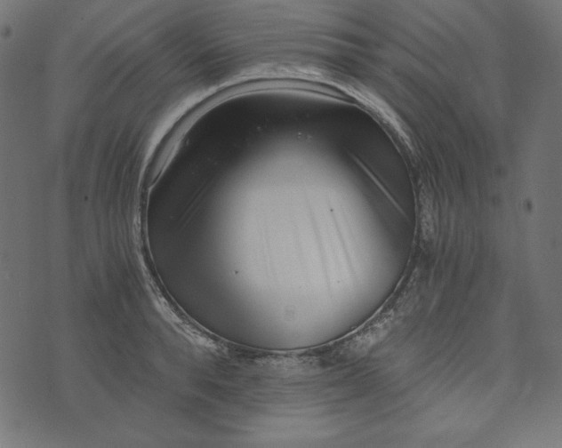 X0000073700896200608171110