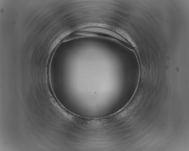 X0000073700898200608171110