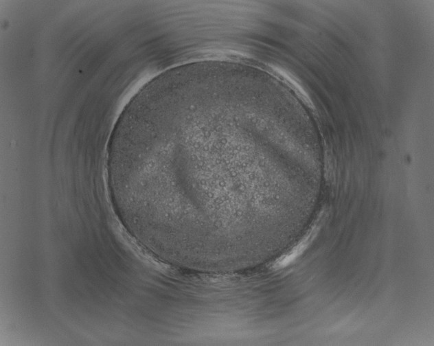 X0000073700899200608171110