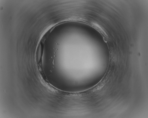 X0000073700900200608171110