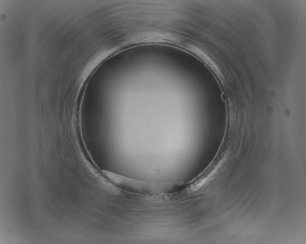 X0000073700901200608171110