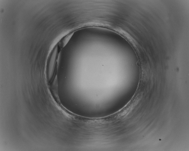 X0000073700902200608171110