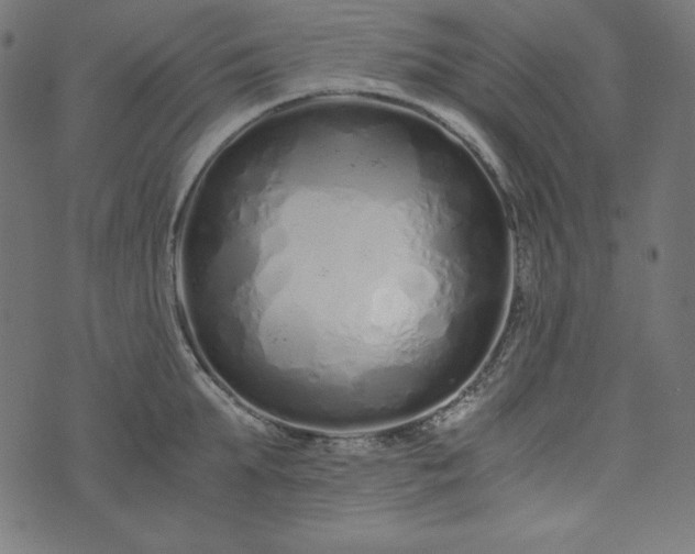 X0000073700903200608171110