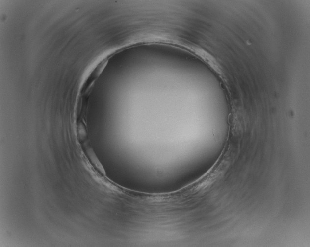 X0000073700904200608171110