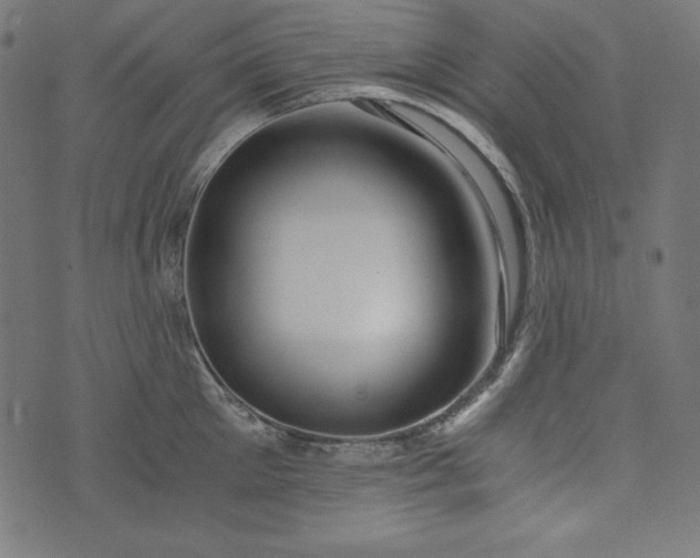 X0000073700905200608171110