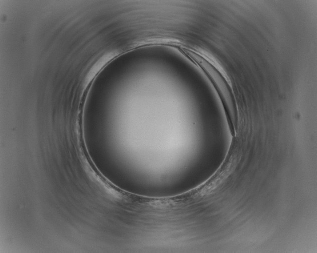 X0000073700906200608171110