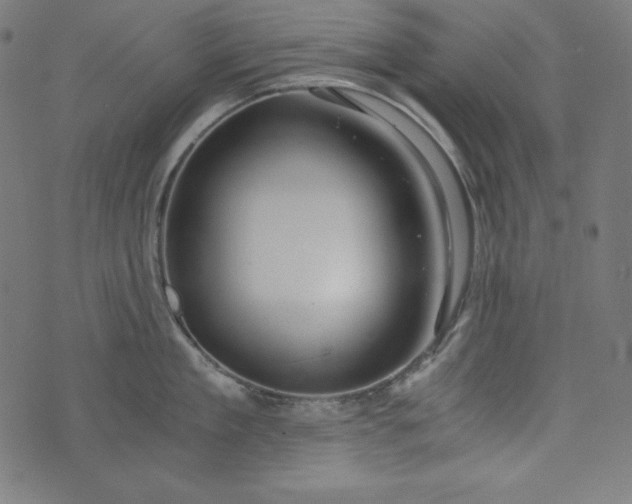 X0000073700909200608171110