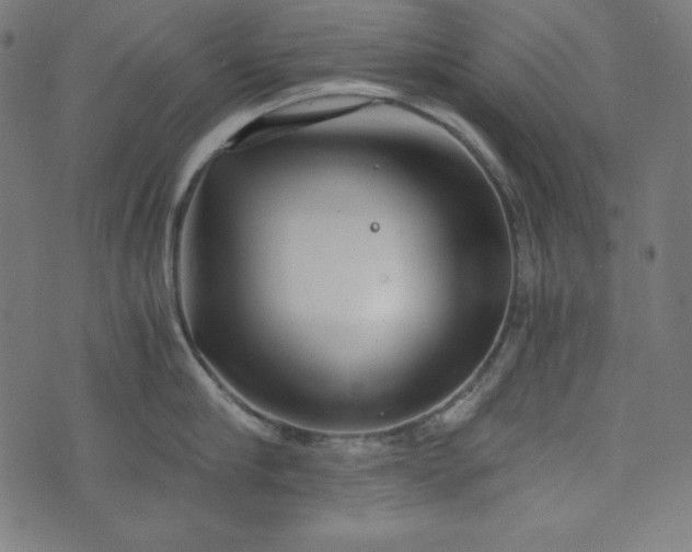 X0000073700910200608171110