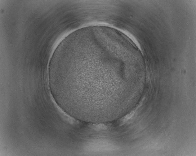 X0000073700911200608171110