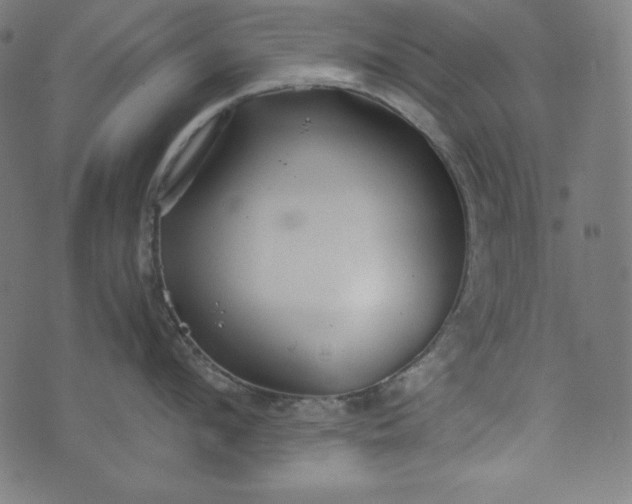 X0000073700912200608171110