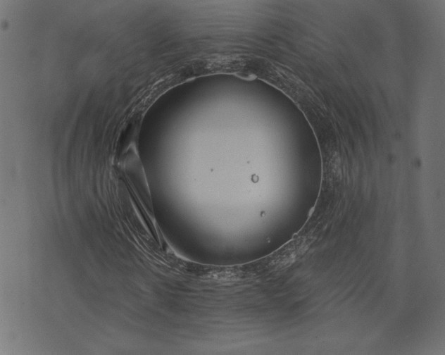 X0000073700914200608171109