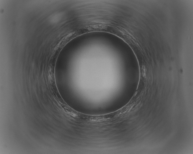 X0000073700915200608171109