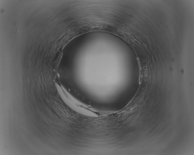 X0000073700916200608171109