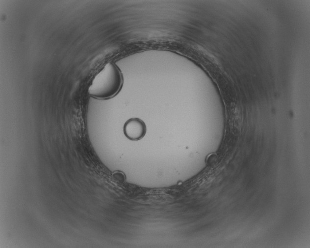 X0000073700918200608171109