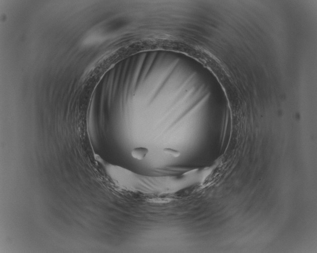 X0000073700919200608171109