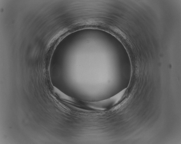 X0000073700922200608171109