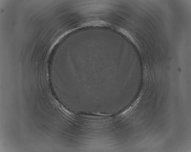 X0000073700923200608171109