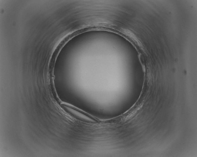 X0000073700924200608171109