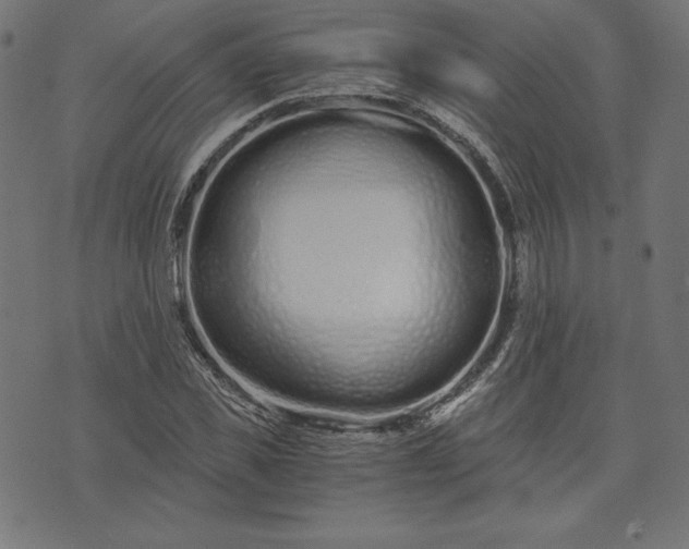 X0000073700925200608171109