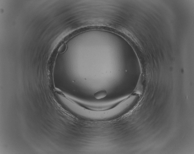 X0000073700926200608171109