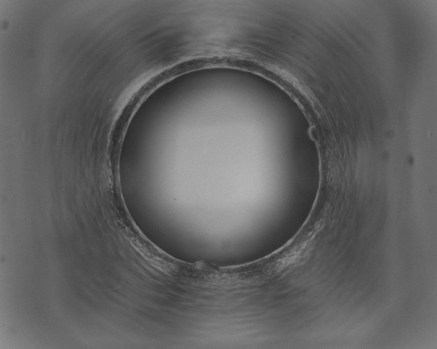 X0000073700927200608171109