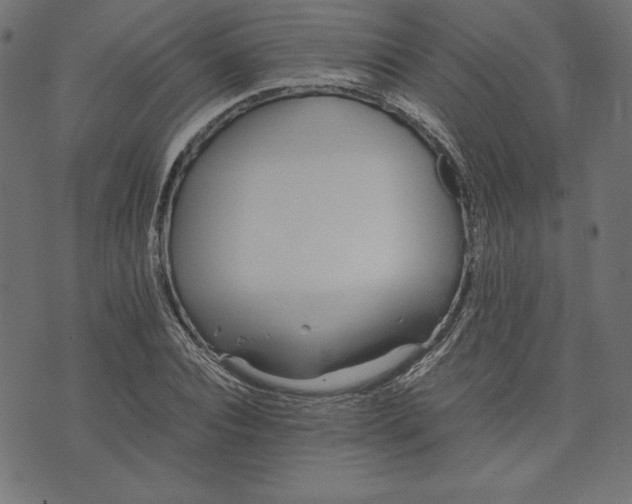 X0000073700928200608171109