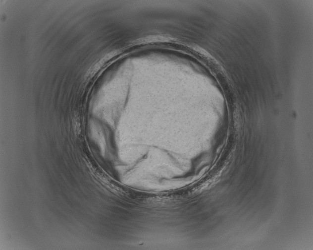 X0000073700929200608171109