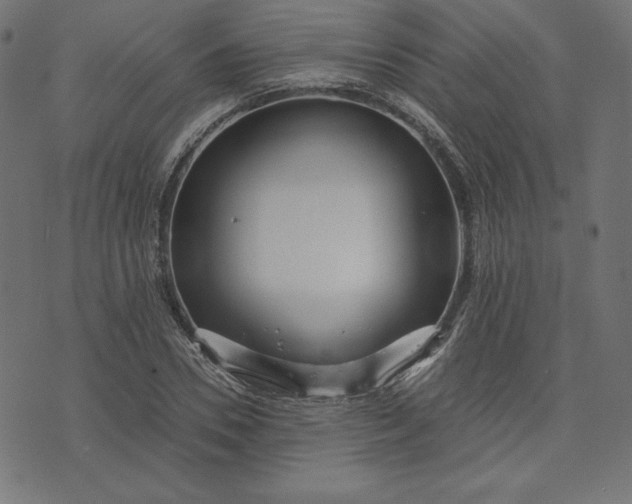 X0000073700930200608171109