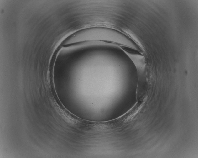 X0000073700932200608171109