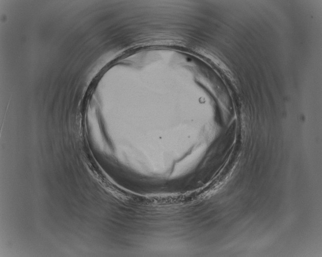 X0000073700933200608171109