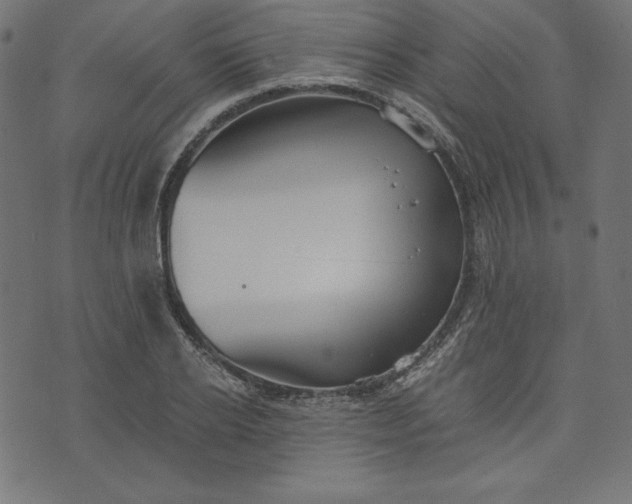 X0000073700934200608171109