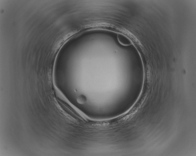 X0000073700937200608171109