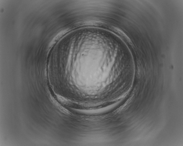 X0000073700938200608171109