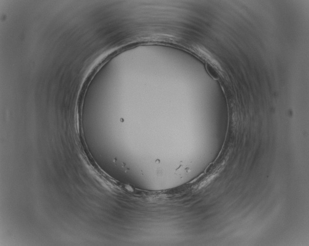 X0000073700940200608171109