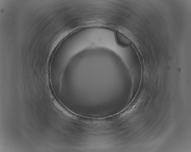 X0000073700941200608171109