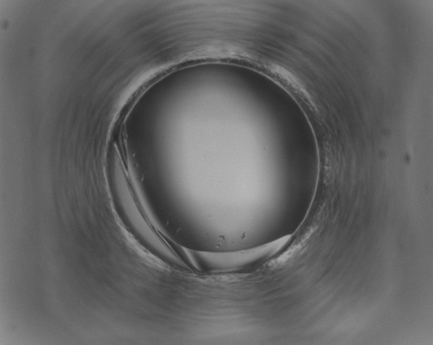 X0000073700942200608171109