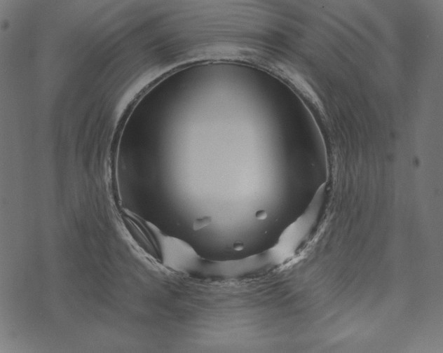 X0000073700944200608171109